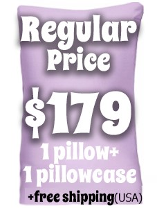 $179 100% Organic Pillow